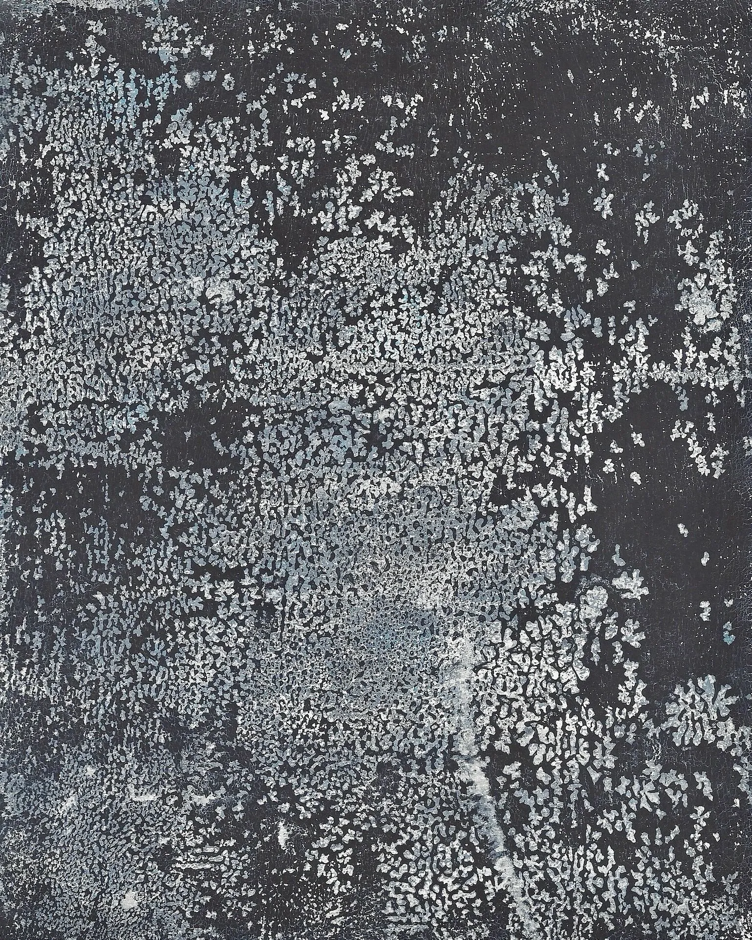 Dense pale grey and light-blue speckled granular texture over a dark charcoal ground, brightest toward the upper left and lower right.
